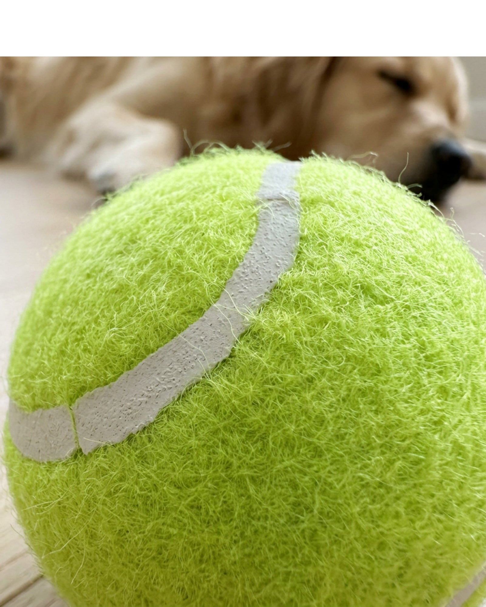 Vovn Tennis Ball Dog Toy Set Lime 3 Pack