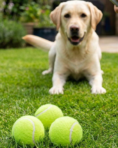 Vovn Tennis Ball Dog Toy Set Lime 3 Pack