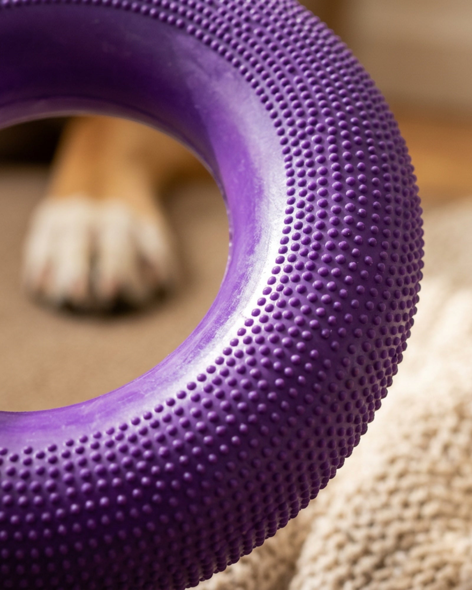 Vovn Tug Ring Dog Toy Purple 7 in